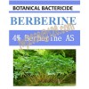 4% Berberine AS