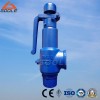 Pressure Safety Relief Valve