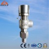 Spring Loaded Safety Valve