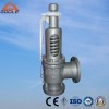 Spring Loaded Safety Valve