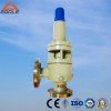 High Pressure Safety Valve