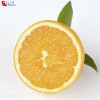 Orange water soluble flavor