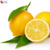 Lemon phagostimulant