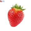 Strawberry phagostimulant