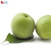 Greengage oil soluble flavor