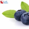 Blueberry water soluble flavor