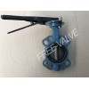 Butterfly Valve with Lever