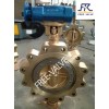 Butterfly Valve for sea water