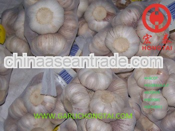 2013 Chinese Red Garlic 6.0CM Price