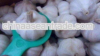 2013 Chinese White Garlic with 6.0cm Sizes