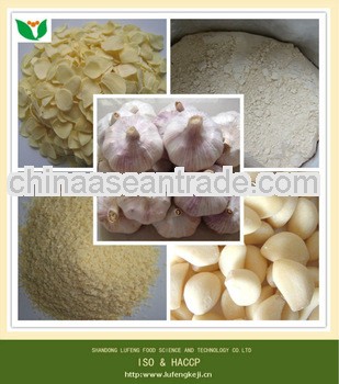 2013 New Arrival fresh chinese 3p garlic