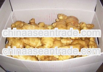 2013 New market price for Fresh Ginger export Pakistan