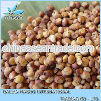 2013 Red Sorghum For Sale Best Quality