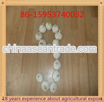 2013 factory cheap bulk package fresh garlic