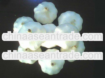 2013 minfeng fresh normal white garlic