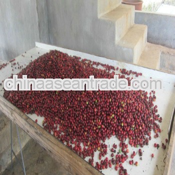 2013 new crop arabica coffee beans