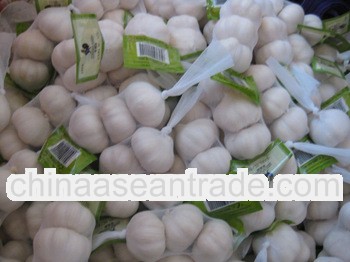 2013 new crop fresh garlic price per ton