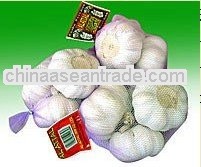 2013 new crop normal white/pure white garlic