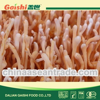 2013 new products cordyceps sinensis
