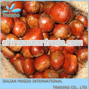 2013 year fresh chestnut new crop origin china