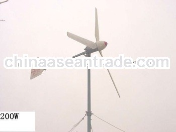 300W wingmill generator for home lighing