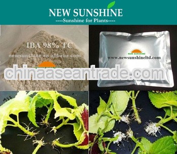 3-Indolebutyric Acid IBA, root growth promoter
