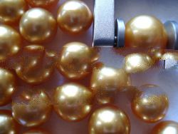 Golden south sea pearls