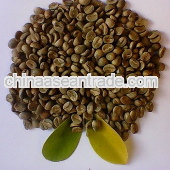 A gradeYunnan arabica green coffee bean,above #15 80%
