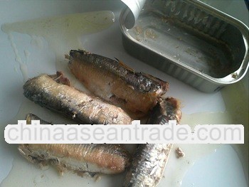 Canned sardines fish