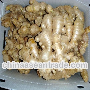 Chinese Air-fried Ginger hot sale