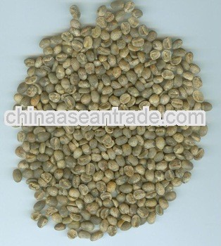 Chinese Coffee beans