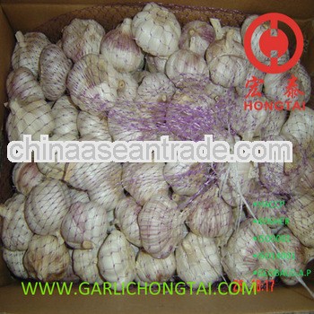 Chinese Fresh Common White Garlic 5.5CM