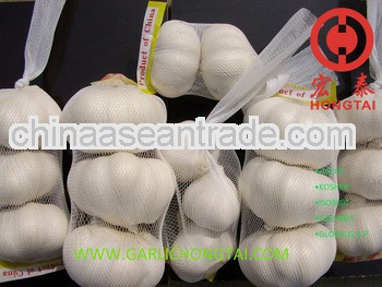 Chinese Fresh Garlic 3P Mesh Bag Price