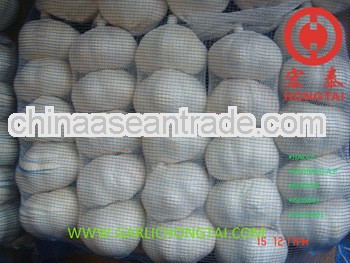 Chinese Pure White Garlic 5P/Bag Price