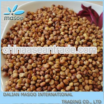 Chinese Red Sorghum 2013 New Crop Small Size.. .