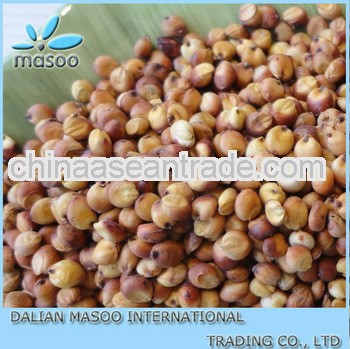 Chinese Red Sorghum For Sale