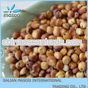 Chinese Red & White Sorghum Groat For Sale Grade A