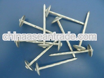 E.G.umbrella Roofing Nail From Manufacture