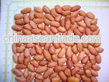 Fresh Stock Of Peanuts Benin