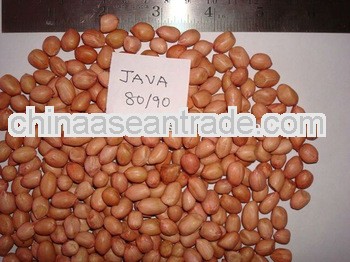 Fresh Stock Of Peanuts Chile