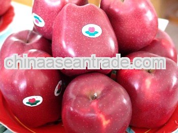 Fresh chinese HuaNiu/Red Delicious Apple