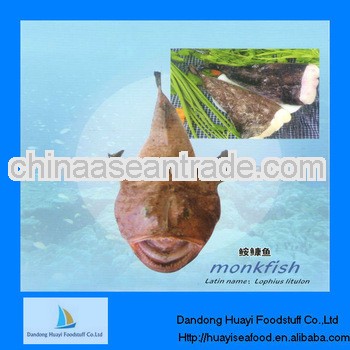 Fresh forzen monkfish on sale
