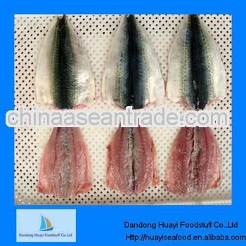 Frozen horse mackerel fish