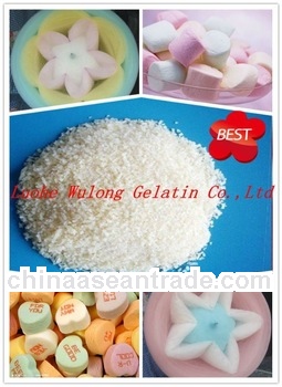 Hot sell aerated confectionery gelatin