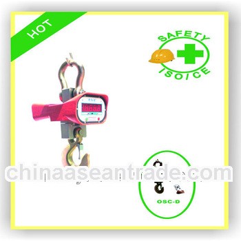 Industrial Weighing crane scale
