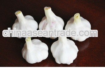 Natural 2013 Crop Snow White Garlic Offer