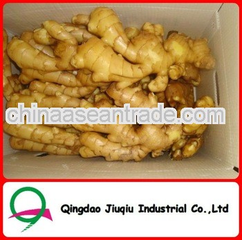 Natural Yellow Fresh Chinese Ginger Bag Packing