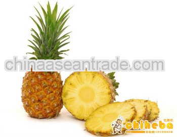 Natural high quality Bromelain,pineapple extract