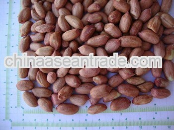 New Crop Peanuts for Comoros