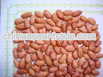 New Crop Peanuts for Tonga